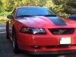 Ford Mustang Mach 1 2004